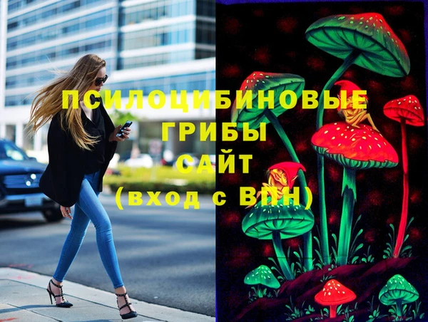 МДПВ Армянск