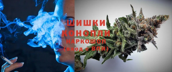 трава Арсеньев